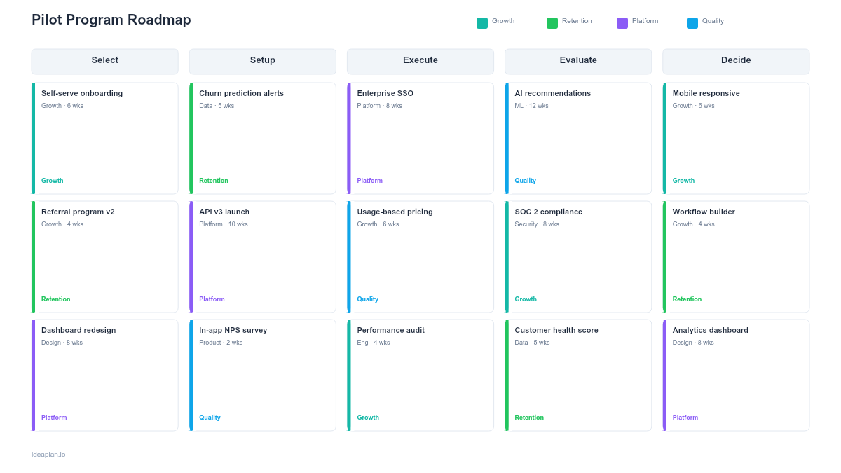 Pilot Program Roadmap Template
